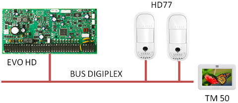 Paradox Insight - zapojení HD77 na sběrnici